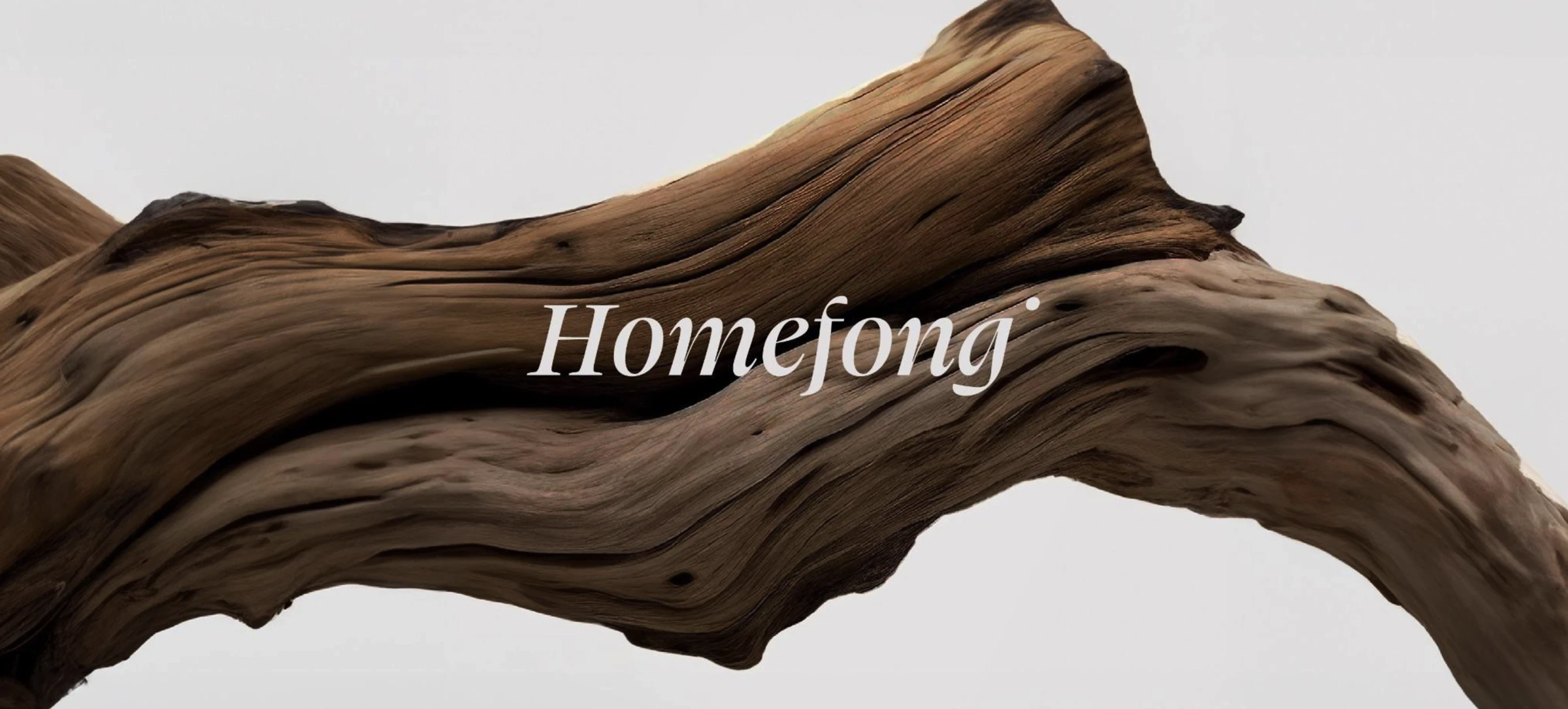 Homefong — Branding & Identity Development project by Sausage & Co. Bangkok
